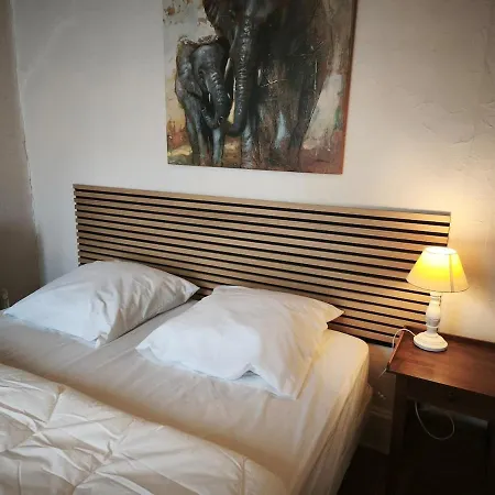 Le Tour - Hypercentre - Opera 150 M - Bord D'allier