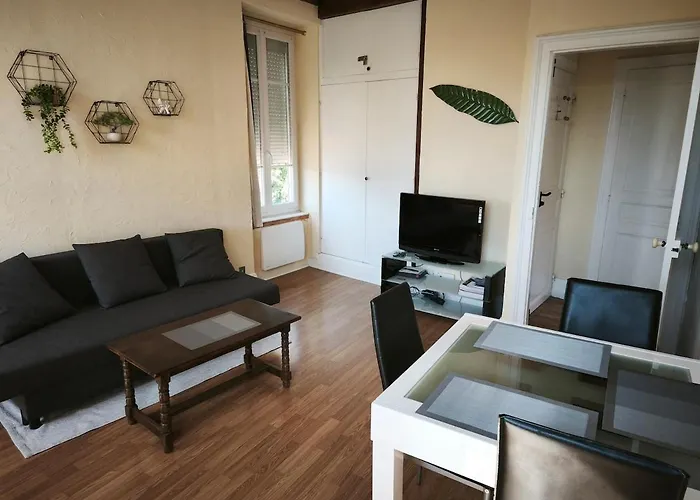 Le Tour - Hypercentre - Opera 150 M - Bord D'allier Vichy