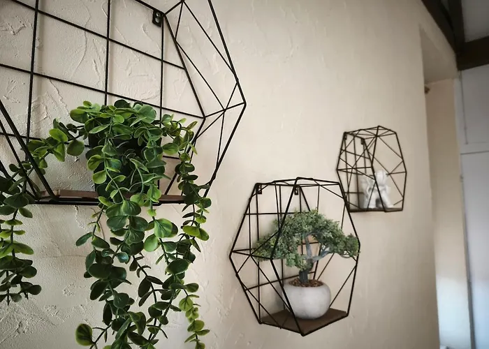 Daire Le Tour - Hypercentre - Opera 150 M - Bord D'allier